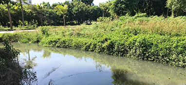 沿用城市思維？農村黑臭水體治理“行不通”！